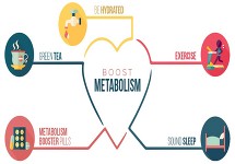wwuk-metabolism-infograph